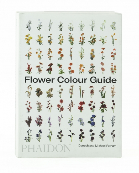 Flower Color Guide