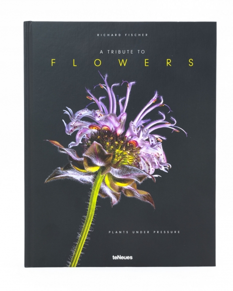 A Tribute to Flowers